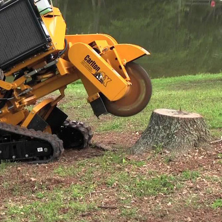 Stump Grinding in Ontario