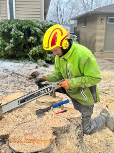 Tyler's Tree Services photo 7